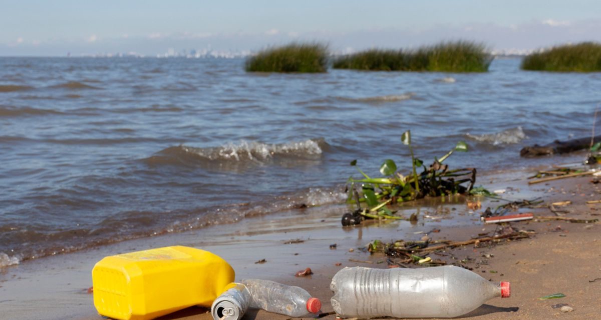 Awas! Sampah Plastik Bikin Alga Beracun Makin Subur