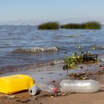 Awas! Sampah Plastik Bikin Alga Beracun Makin Subur