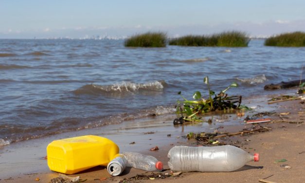 Awas! Sampah Plastik Bikin Alga Beracun Makin Subur