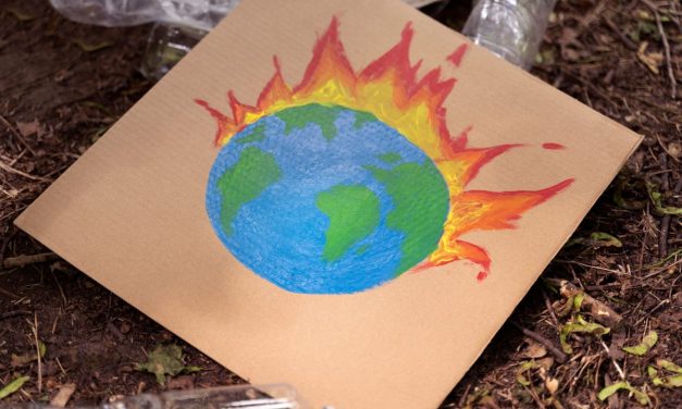 Standar ISO Kini Lebih Hijau: Fokus Pada Mitigasi Perubahan Iklim