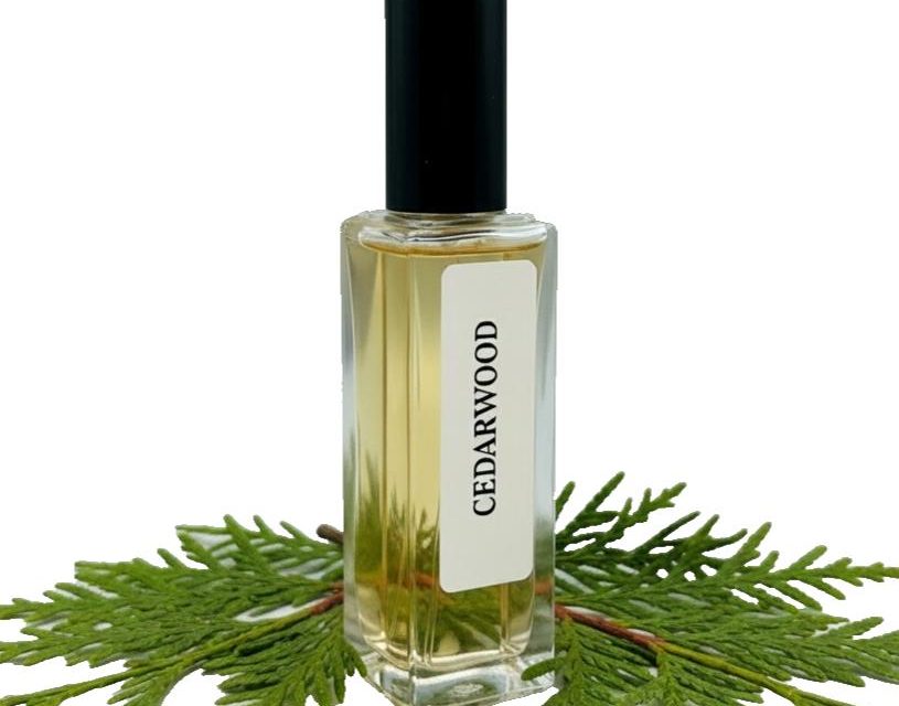 Dari Pegunungan – Botol Parfum, Keistimewaan Aroma Kayu Cedar